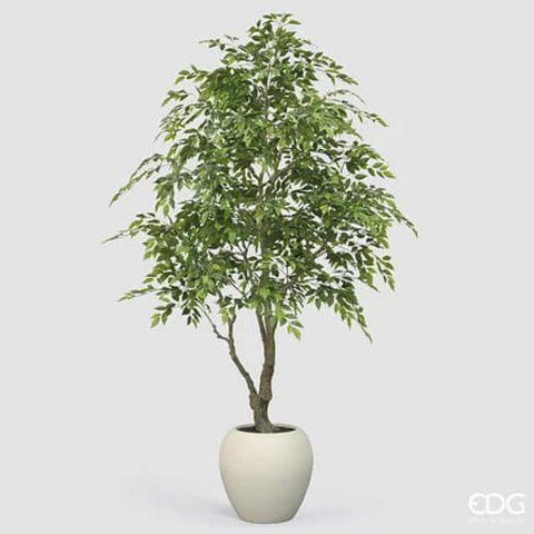 EDG Vogue Artificial Ficus Benjamina in Pot