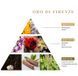 Diffuser Refill - Logevy Firenze - Oro di Firenze - (Gold of Florence)